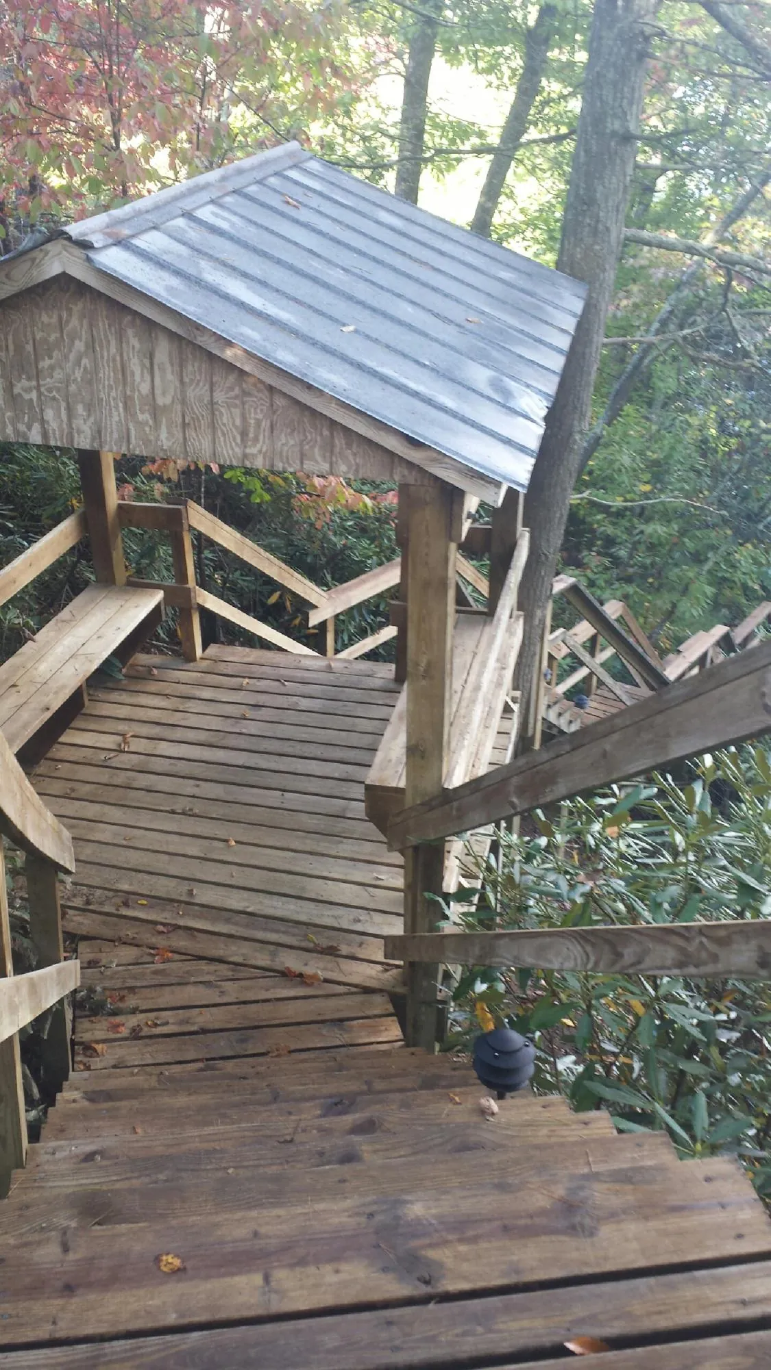 Metal roofed shelter over wooden steps on a wooded walkway — Skylight Repair & Installation work by our crew in Wilkeson