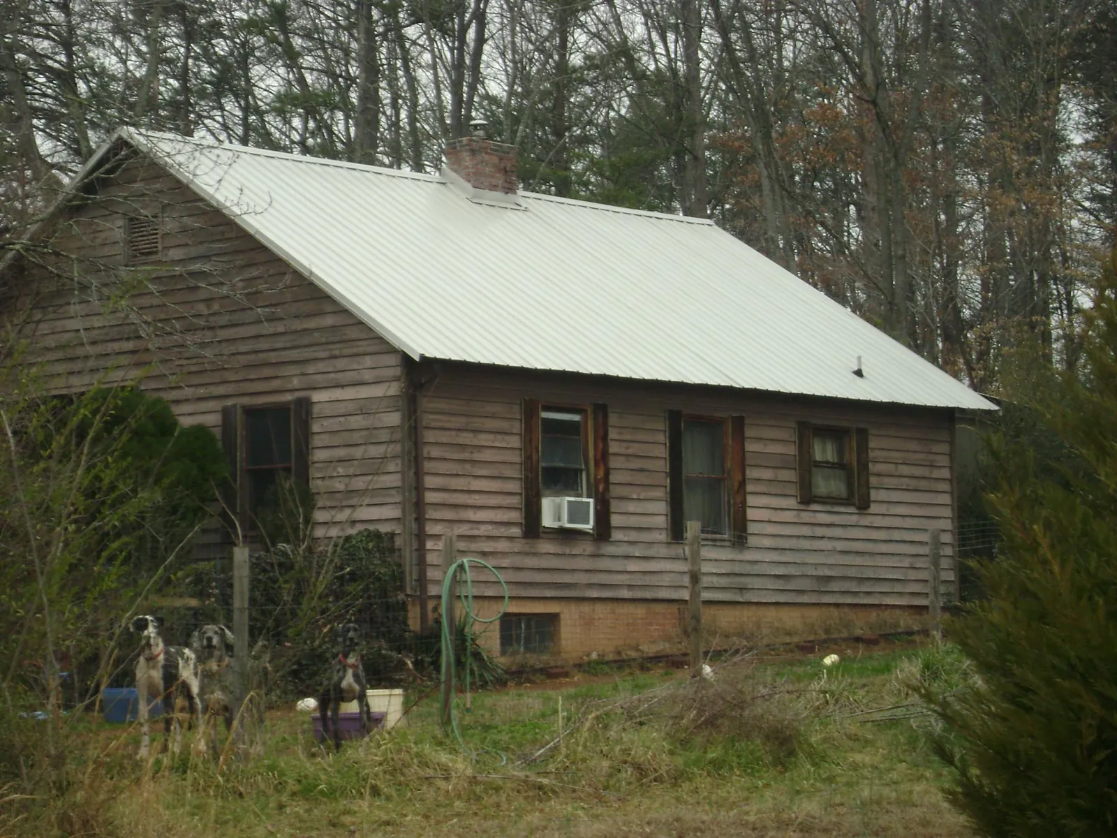 White metal roof on an old wood sided farmhouse, from a Asphalt Shingle Roof Repair job in Wilkeson